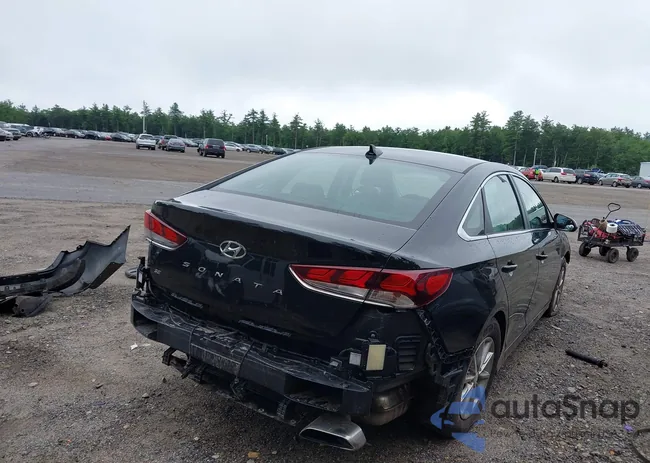 5NPE24AF4JH707374: 42672293