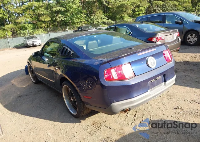 1ZVBP8AM1C5208851: 42674766