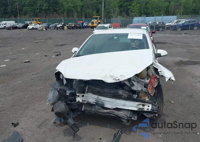 1G1AL55F667700863: 42673942