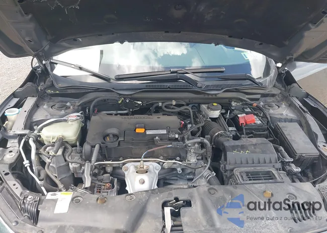 2HGFC2F56GH523871: 42673993