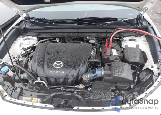 3MVDMBBL2LM124277: 42675029