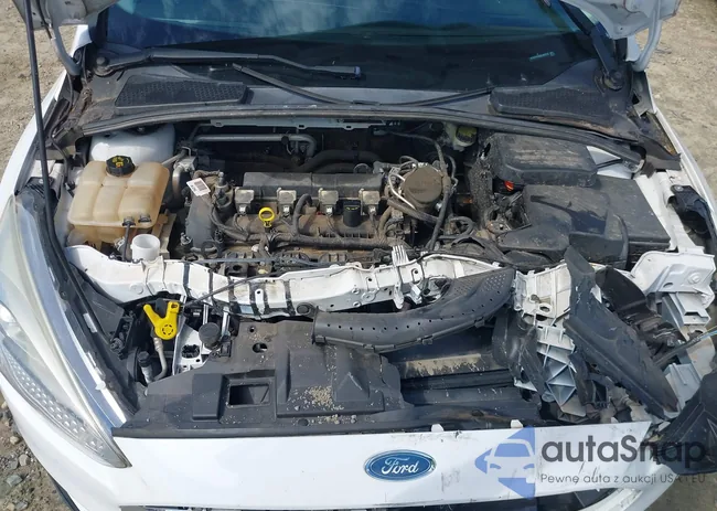 1FADP3E2XGL207213: 42676186