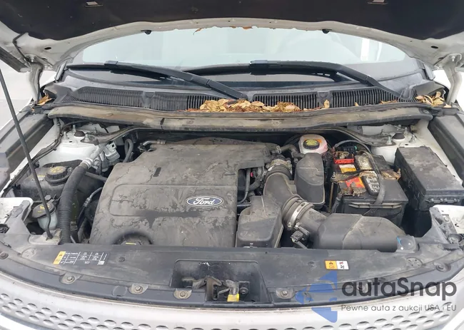 1FM5K8B81DGA80094: 42677391