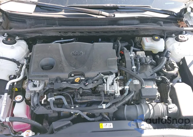 4T1C31AK4LU539756: 42677189