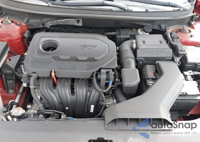 5NPE24AF2KH781460: 42682853