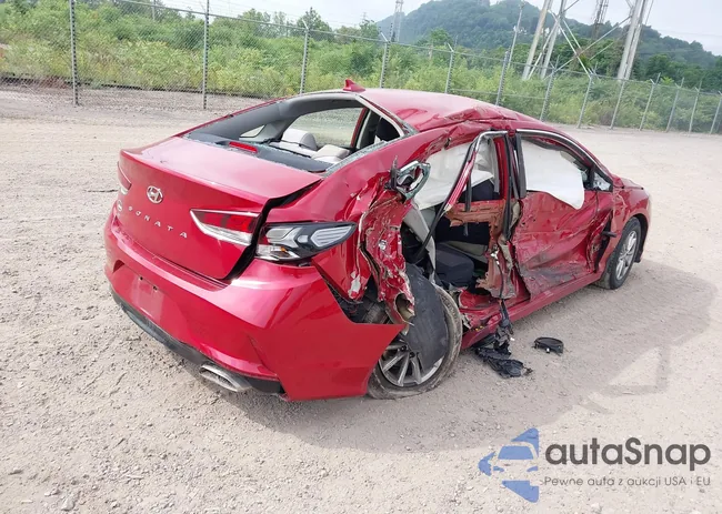 5NPE24AF2KH781460: 42682853