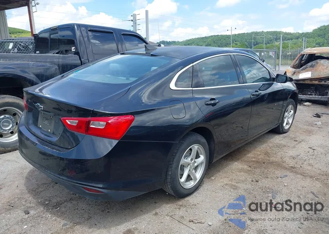 1G1ZB5ST0HF141268: 42681981