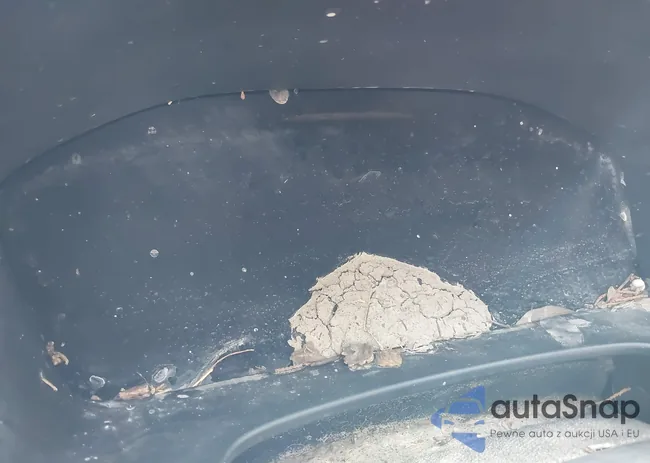 5J6RS6H99PL008348: 42684070