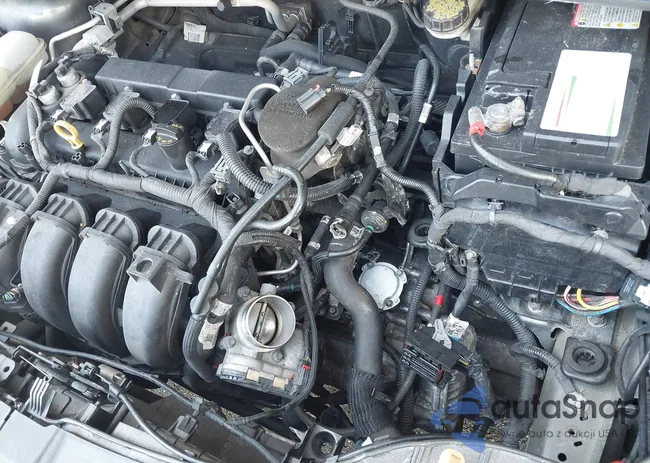 1FADP3F20FL297761: 42684211