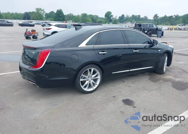 2G61P5S38K9100704: 42686557