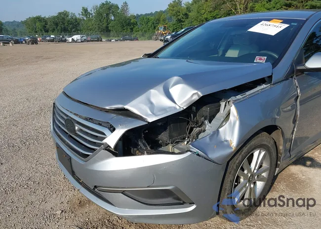 5NPE24AF3GH295439: 42687515