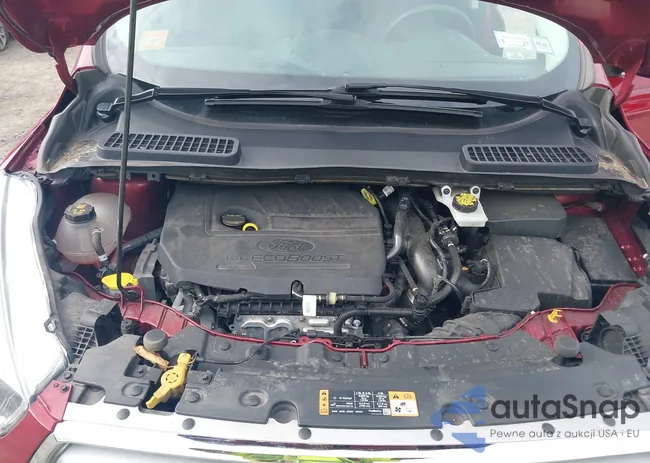 1FMCU0GD6JUB98986: 42687751