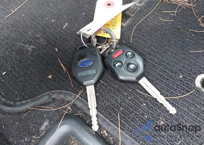 4S3BNBA69F3055109: 42687220