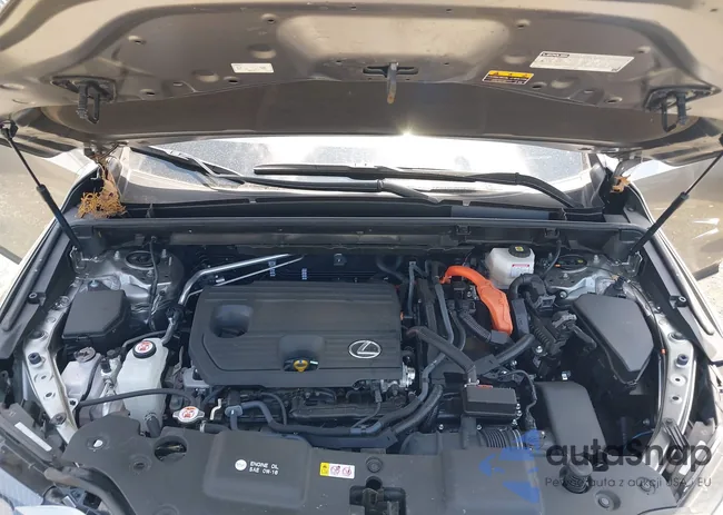 JTJGKCEZXR5017449: 42688604