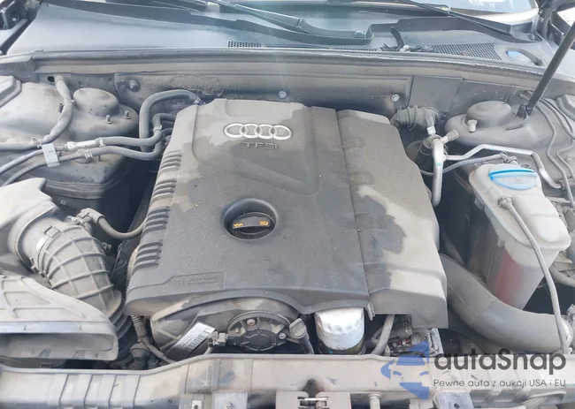 WAULFAFR6DA007488: 42688165