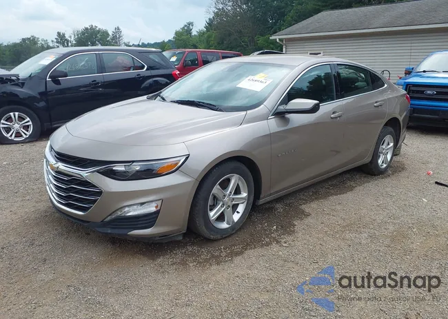 1G1ZD5ST1PF189502: 42689363