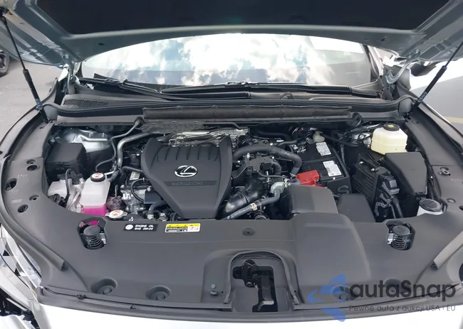 2T2BAMCA1SC106771: 42689616