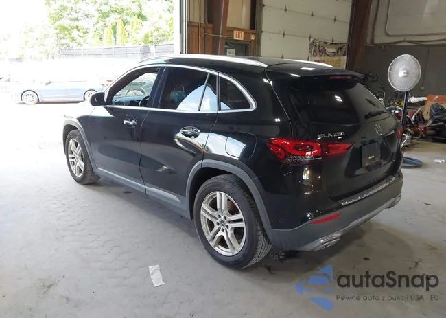 W1N4N4HBXMJ135561: 42689755