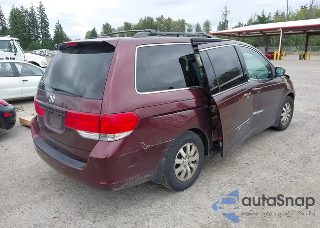 5FNRL38738B004459: 42690819