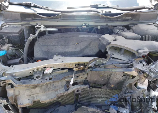 5FNRL6H25LB001920: 42691572