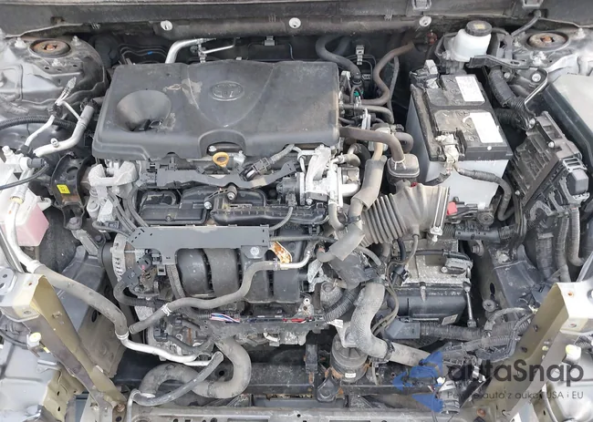 2T3F1RFV3KC031774: 42691873