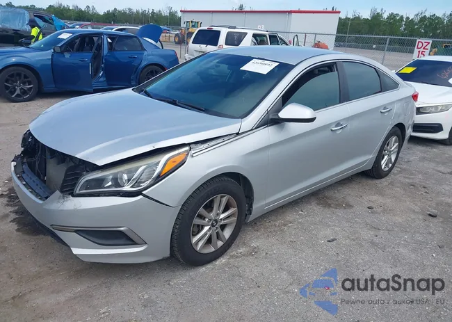 5NPE24AF7HH531530: 42690892