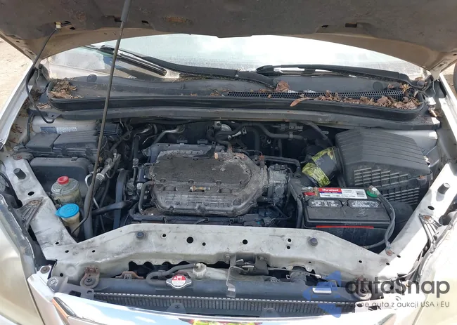 5FNRL38865B062179: 42691948