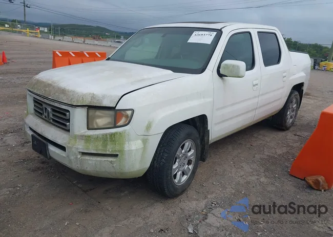 2HJYK16506H544391: 42693779