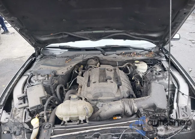 1FA6P8TH6H5327996: 42696642