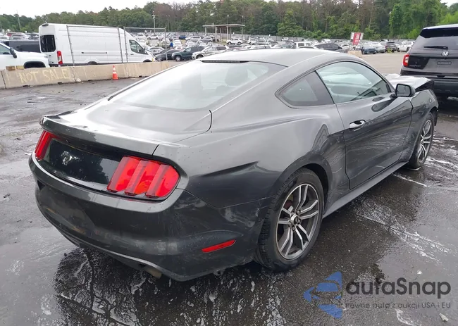 1FA6P8TH6H5327996: 42696642