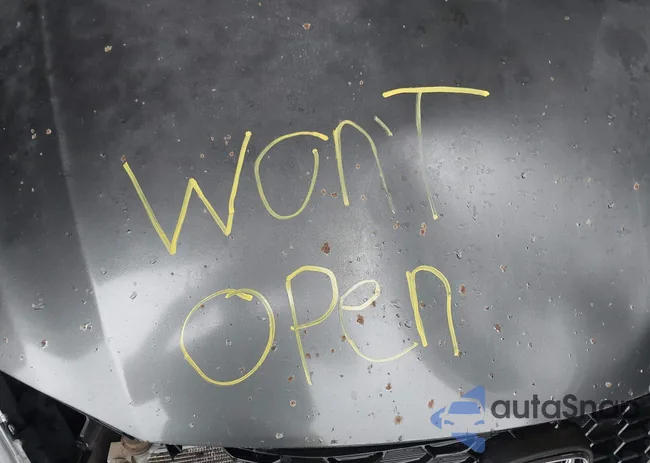 2HGFB2F56DH534626: 42696109