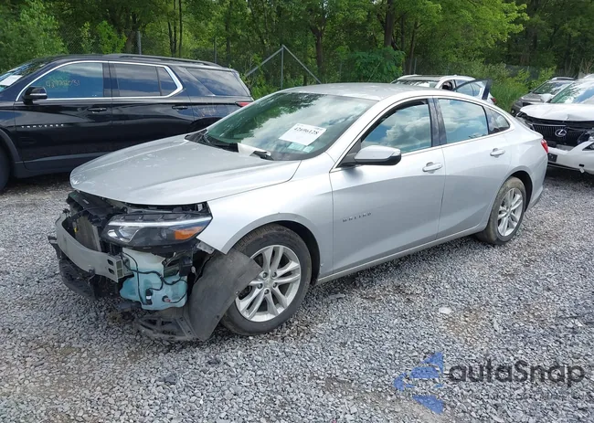 1G1ZD5ST7JF184554: 42696128