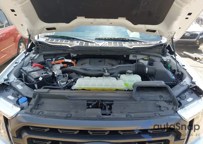 1FTFW1ED0PFD09162: 42697342