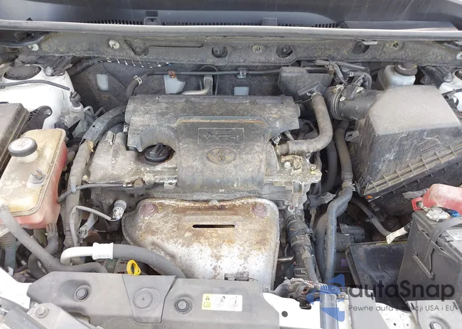 JTMJFREV1JJ743094: 42697473