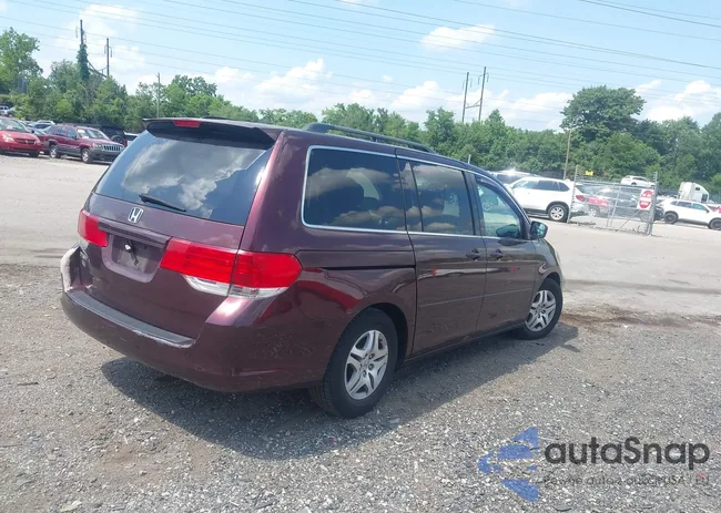 5FNRL38418B024330: 42697701