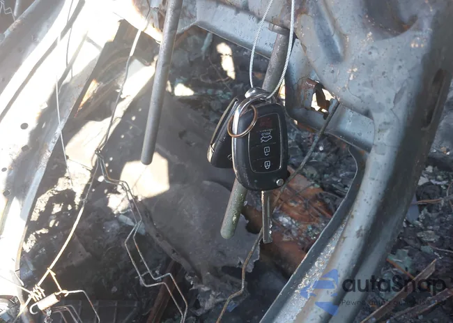 5NPE24AF7KH788517: 42696891