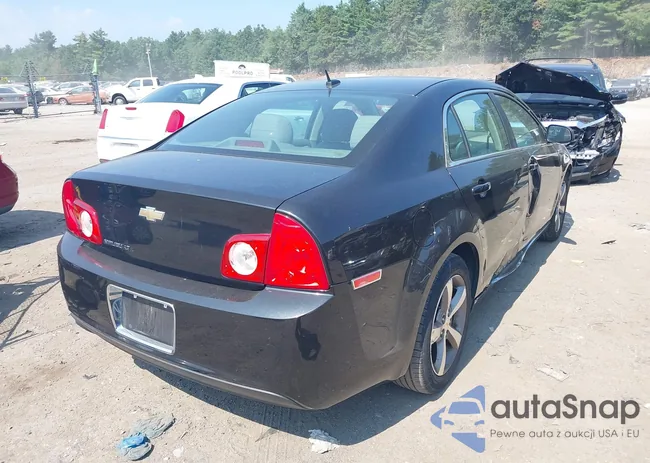 1G1ZC5E18BF252441: 42696903