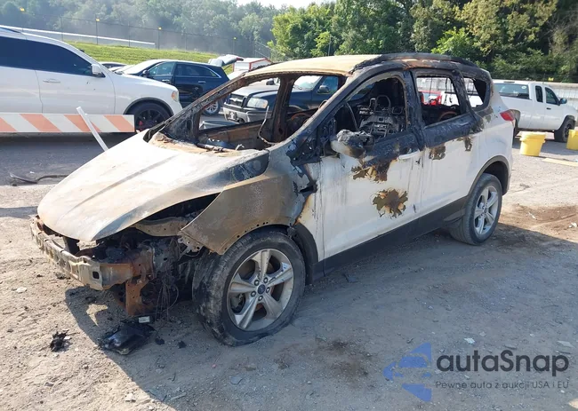 1FMCU9GX0DUC08074: 42699454