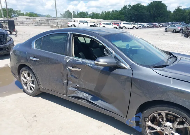 1N4AA5AP1CC846429: 42699163