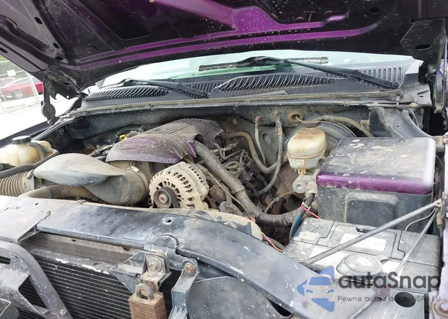 1GTEK14V25Z319060: 42700635