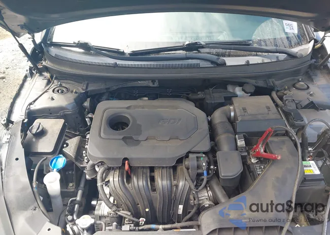 5NPE24AF5KH790377: 42701195