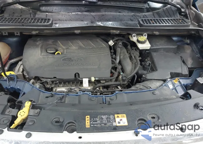 1FMCU0GD8JUB69313: 42702389