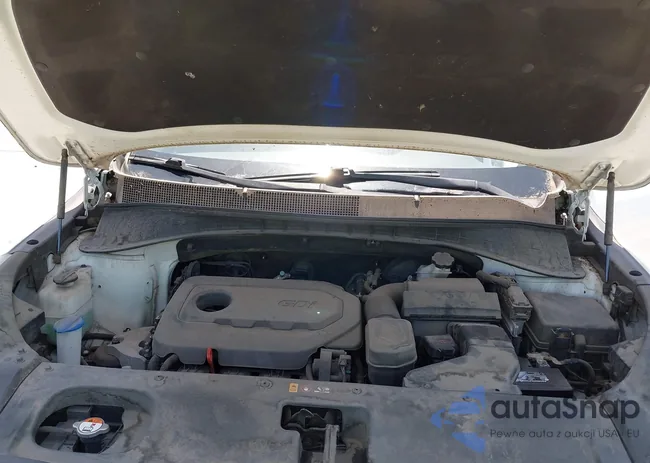 5XYPG4A38GG113676: 42702200