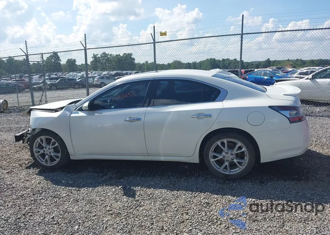 1N4AA5AP2DC831889: 42703653