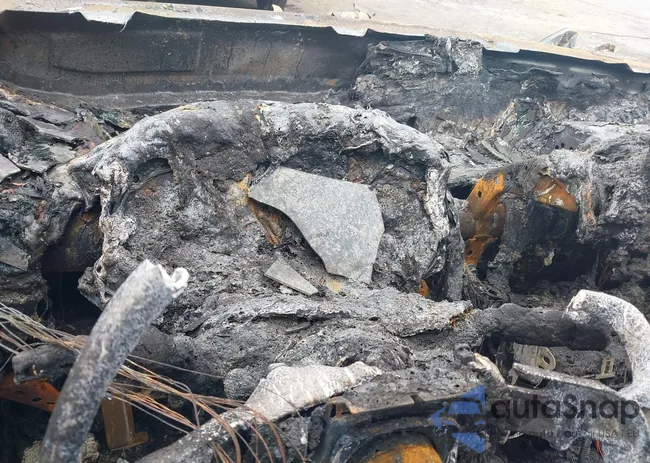 JTMG1RFV7KD004254: 42706469