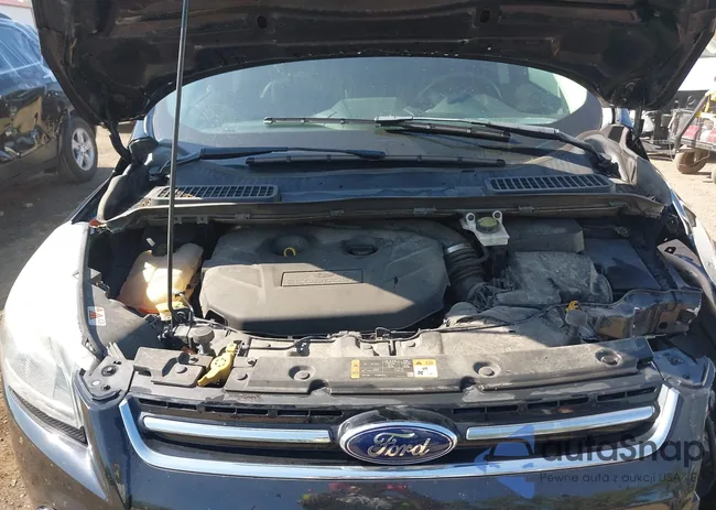 1FMCU9J91GUA95296: 42706512