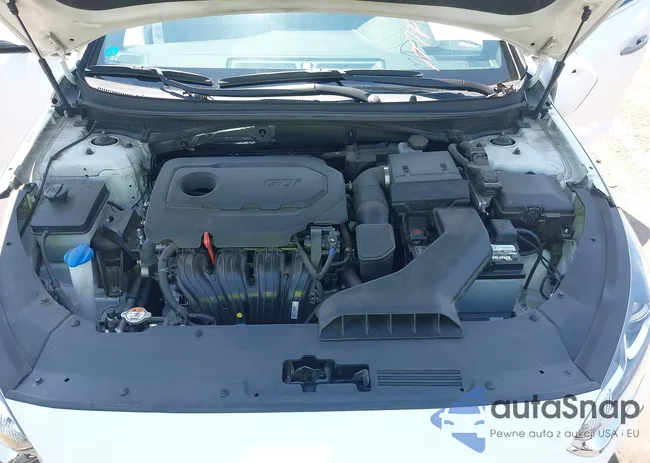 5NPE34AF3KH821199: 42707445