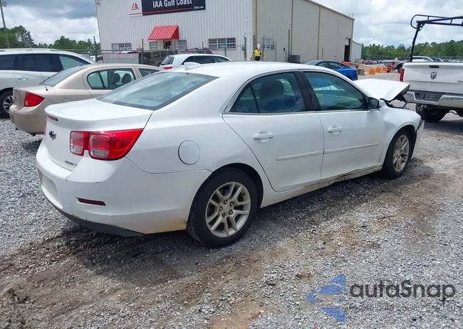 1G11C5SL0FF244097: 42709584