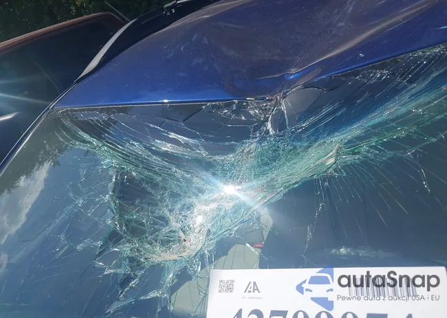 4S4BSAFC6H3205211: 42709074