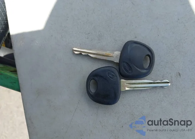 5NMSH13EX8H197138: 42710520